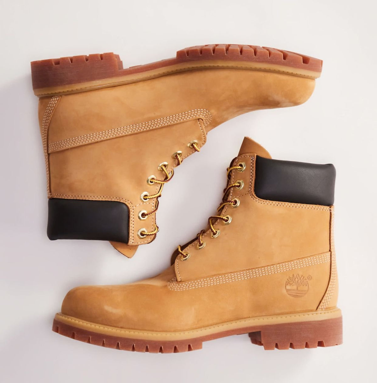 Timberland Premium6 “Waterproof” - Brown - FAVELA